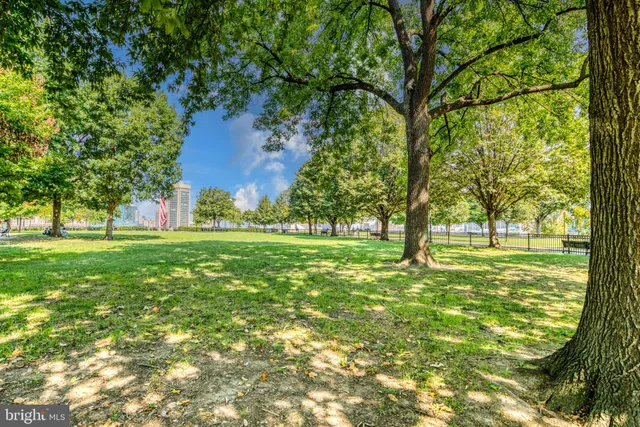 a view of a lake with chairs