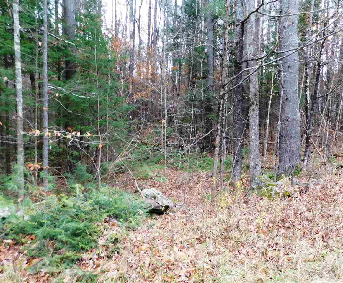 Lot 1 Middletown Road South Londonderry, VT 05155 - Photo 1 of 3 Gallery Image 1