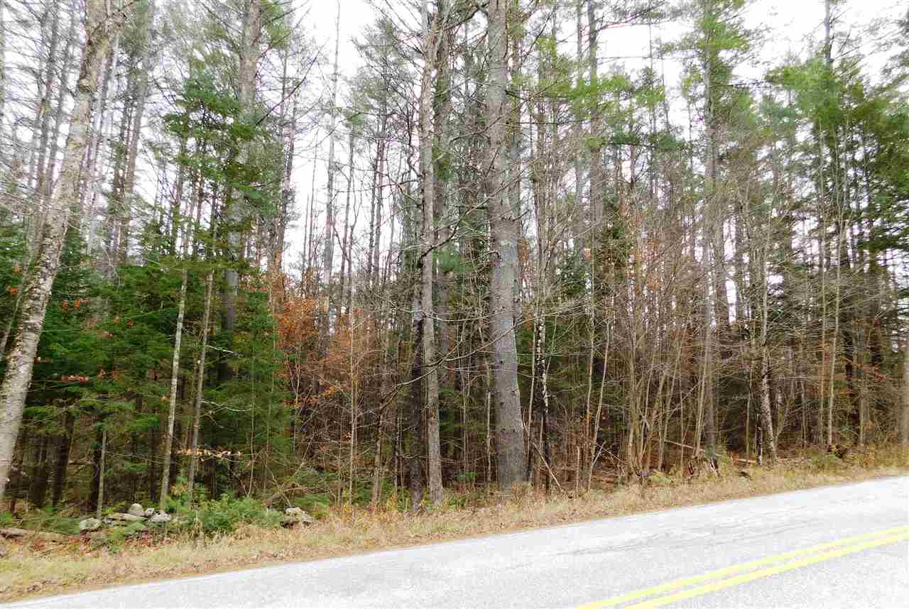 Lot 1 Middletown Road South Londonderry, VT 05155 - Photo 2 of 3 Gallery Image 2