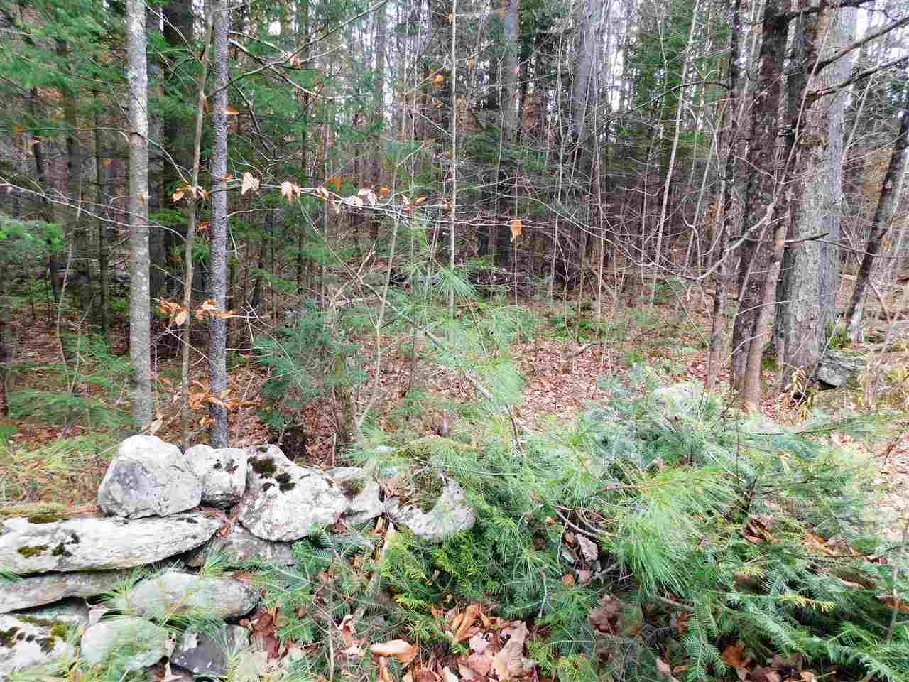 Lot 1 Middletown Road South Londonderry, VT 05155 - Photo 3 of 3 Gallery Image 3