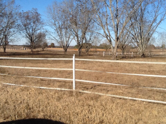 Tbd Cumbie Road Newton, AL 36352 - Photo 1 of 1 Main View