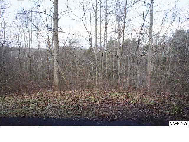 55 Gardenia Road Ruckersville, VA 22968 - Photo 4 of 13 a black and white photo of a green field