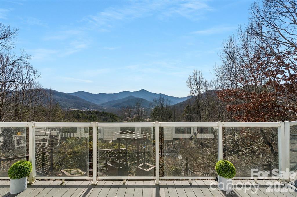 56 Great Horned Owl Road Candler, NC 28715 - Photo 2 of 32 a view of a city from a balcony