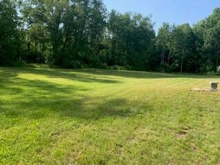 6750 West McBride Road Lakeview, MI 48850 - Photo 11 of 48 Back Yard