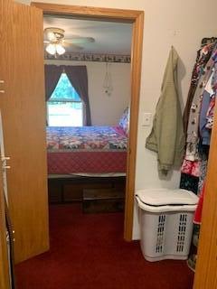 6750 West McBride Road Lakeview, MI 48850 - Photo 44 of 48 Master Closet