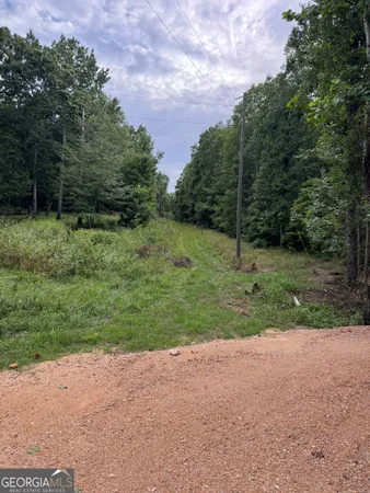 a view of a field with trees in background