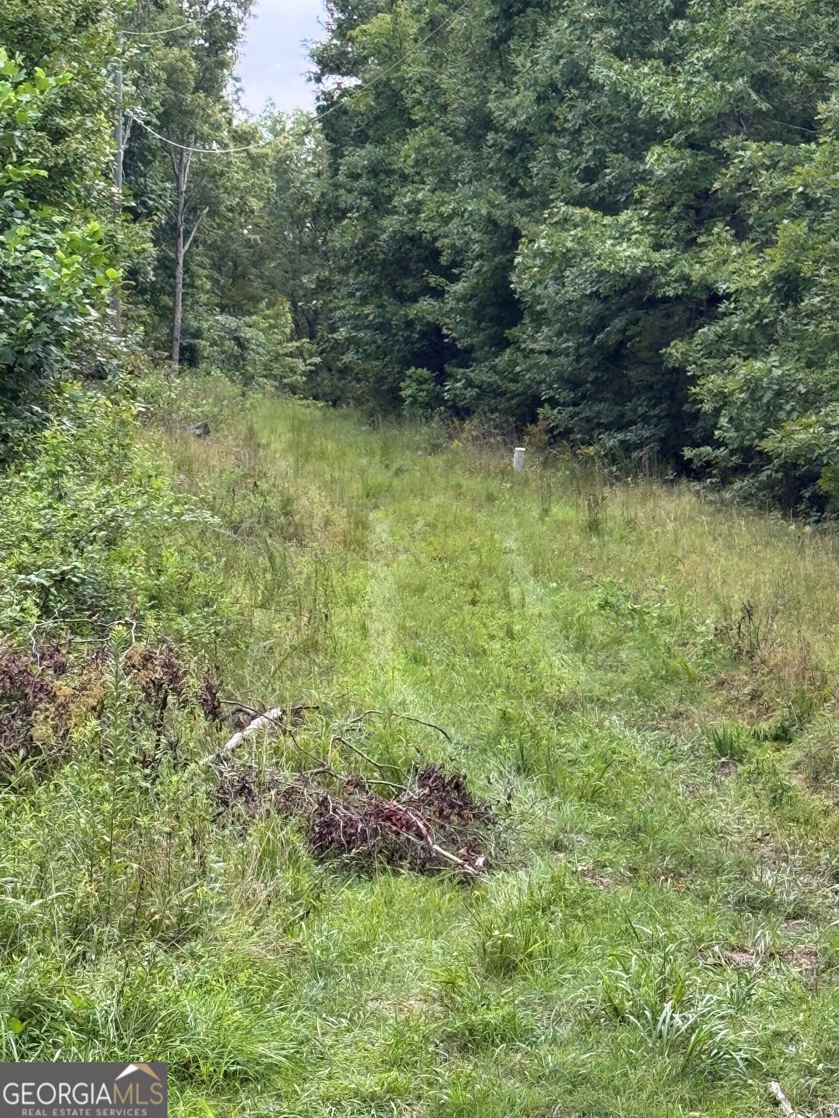 0 Tatum Gulf Road Menlo, GA 30731 - Photo 2 of 2 a view of a garden