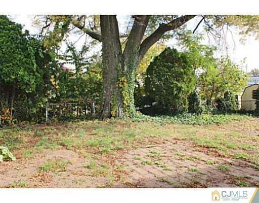 202 Jackson Avenue Edison, NJ 08837 - Photo 17 of 17