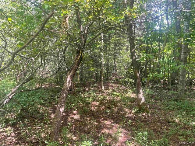Tbd Puumala Road Wakefield, MI 49968 - Photo 2 of 6 Gallery Image 2