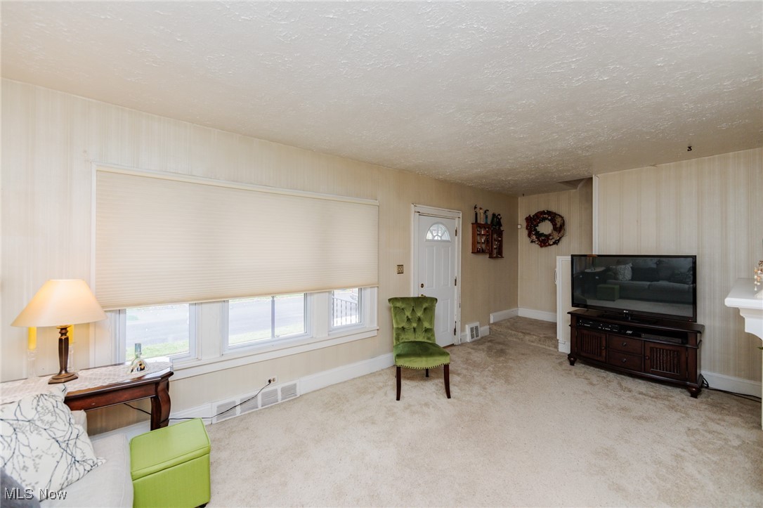 897 Rudyard Road Cleveland, OH 44110 - Photo 8 of 48