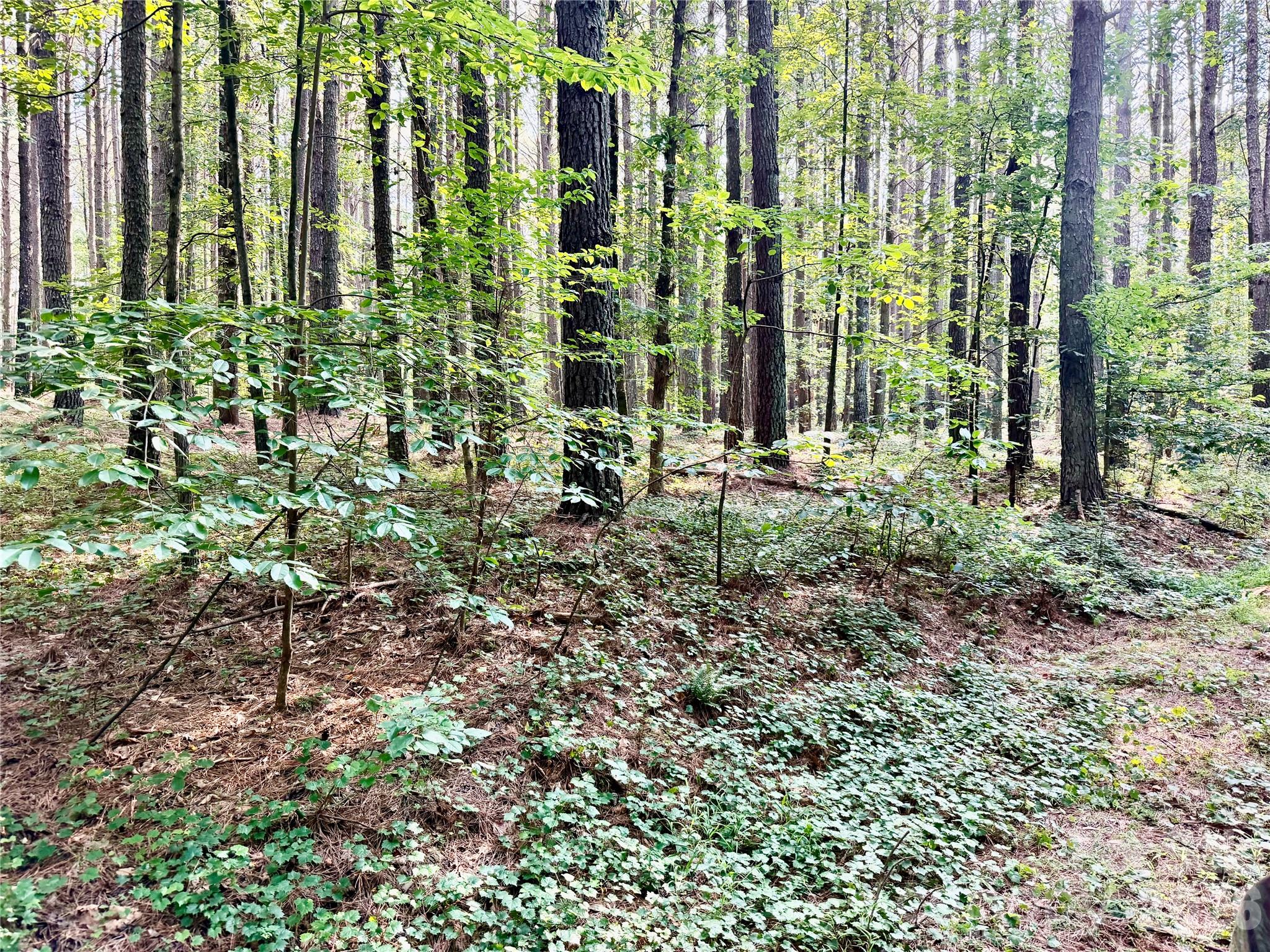 0 Butler Mill Road Harmony, NC 28634 - Photo 16 of 20