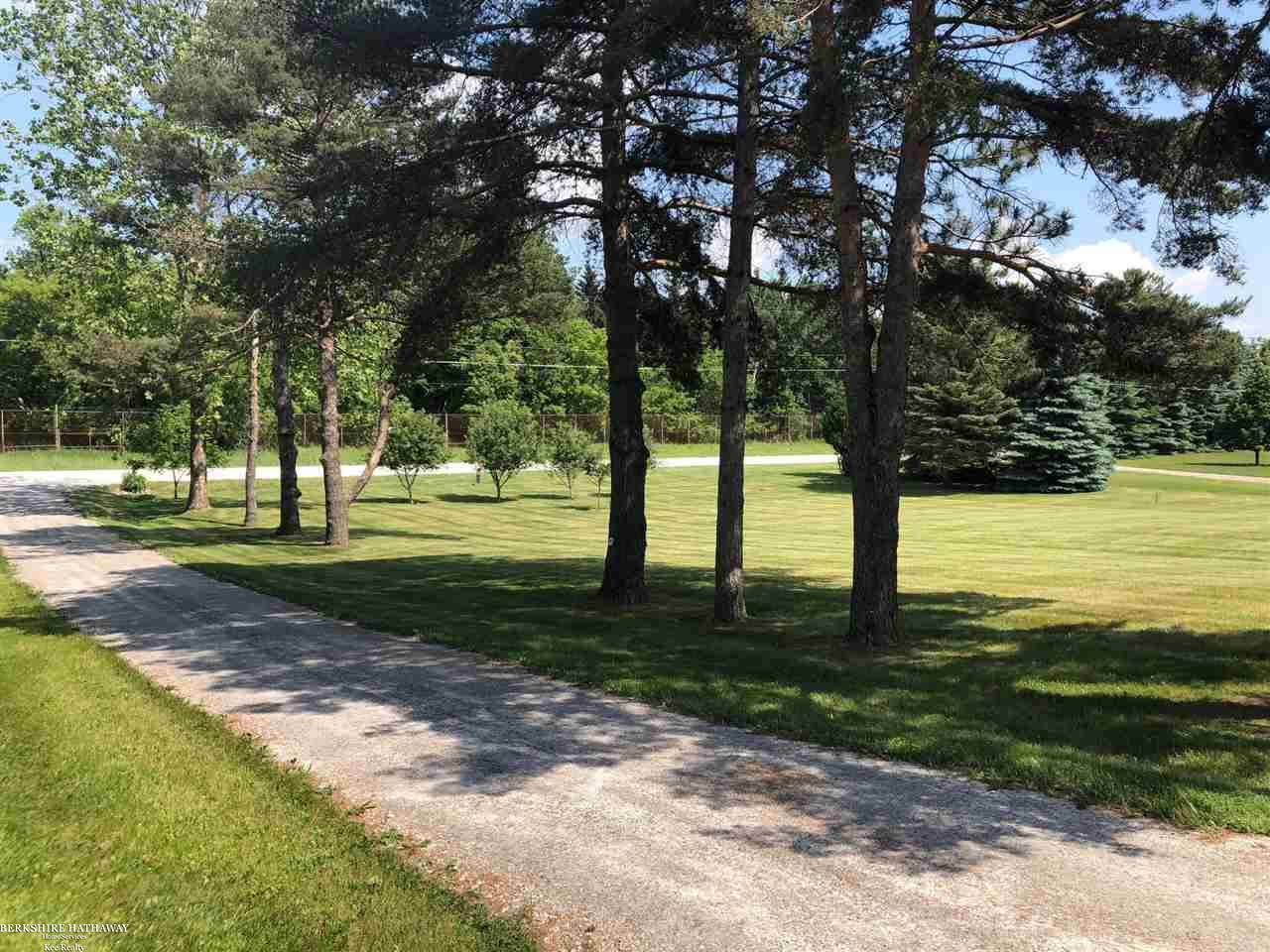 74483 Dequindre Road Leonard, MI 48367 - Photo 9 of 72 Tree lined limestone driveway