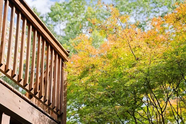 $639,900 | 994 Whispering Hill Drive, Cherry Log, GA 30522