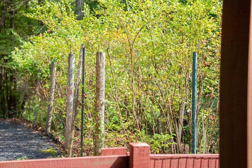 994 Whispering Hill Drive Cherry Log, GA 30522 - Photo 66 of 74 a view of a yard with plants and wooden fence