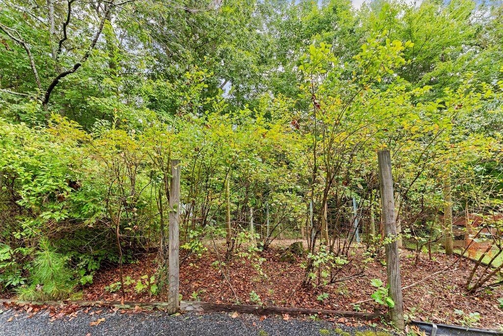 994 Whispering Hill Drive Cherry Log, GA 30522 - Photo 67 of 74