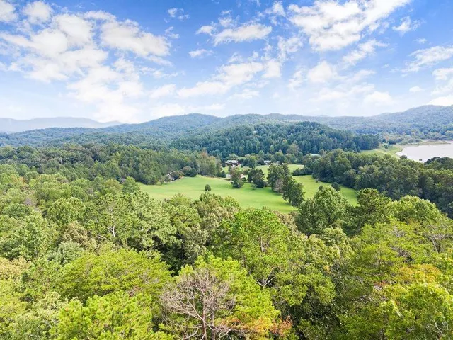 $670,000 | 994 Whispering Hill Drive, Cherry Log, GA 30522