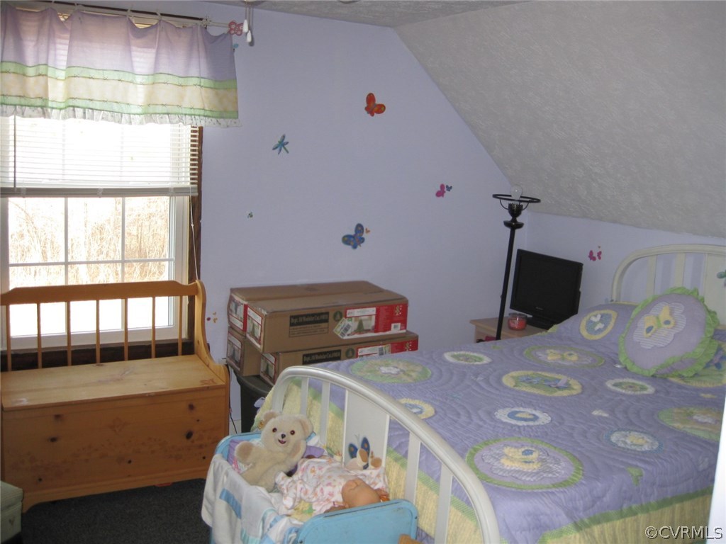 867 East Courthouse Road Blackstone, VA 23824 - Photo 19 of 21 Gallery Image 19