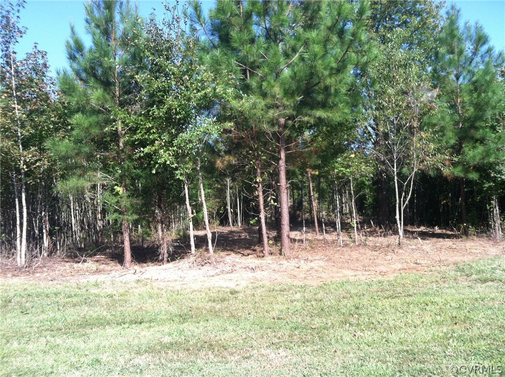 867 East Courthouse Road Blackstone, VA 23824 - Photo 8 of 21 Gallery Image 8
