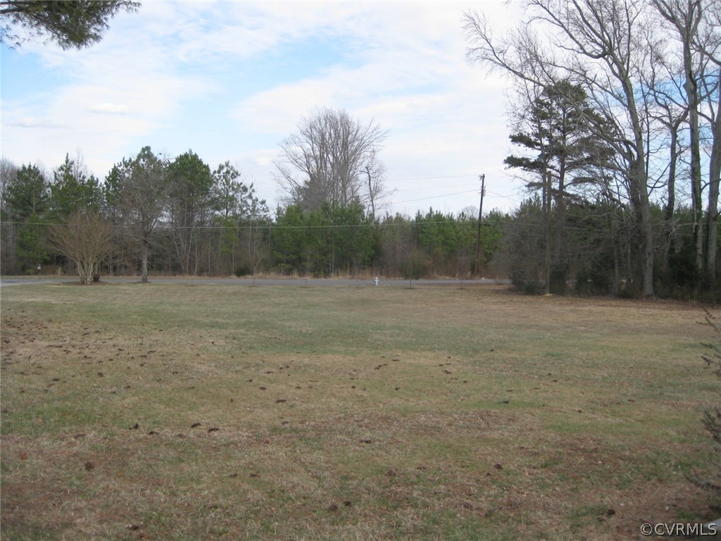 867 East Courthouse Road Blackstone, VA 23824 - Photo 9 of 21 Gallery Image 9