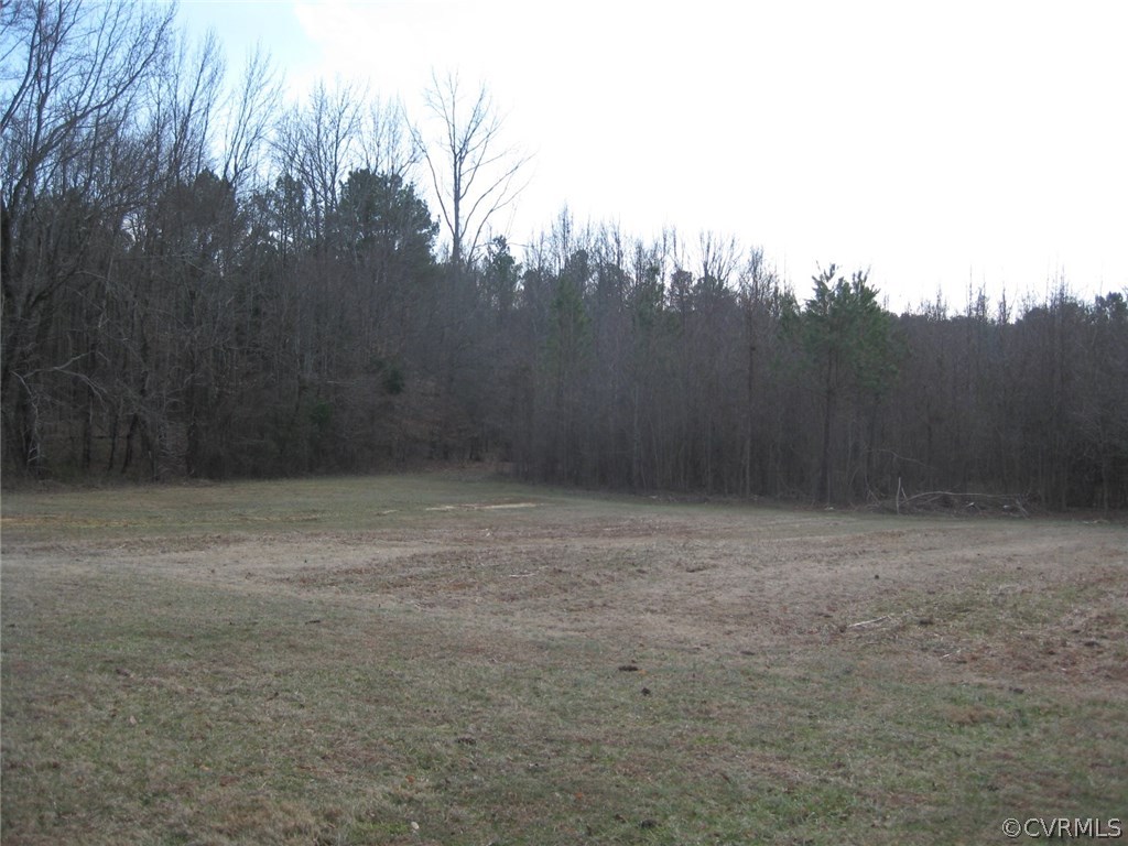 867 East Courthouse Road Blackstone, VA 23824 - Photo 10 of 21 Gallery Image 10
