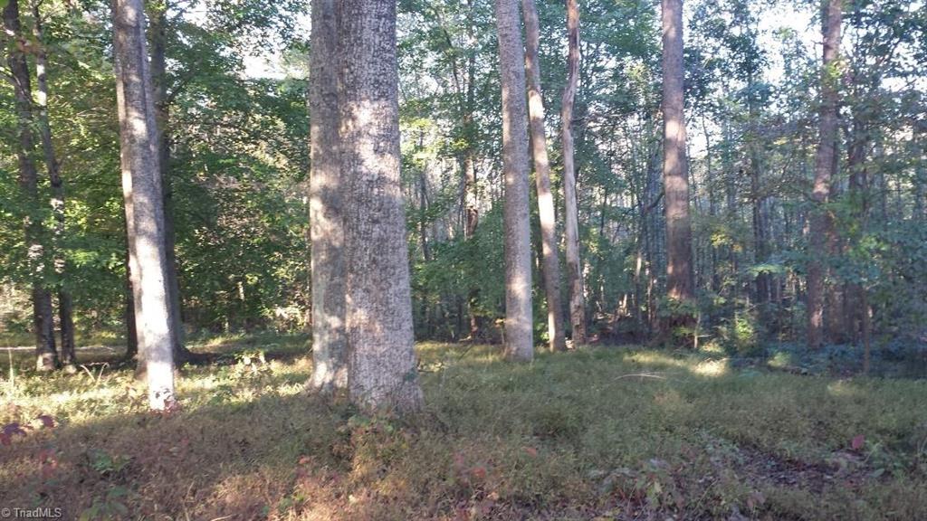 1072 Faulkenberry Road King, NC 27021 - Photo 14 of 16