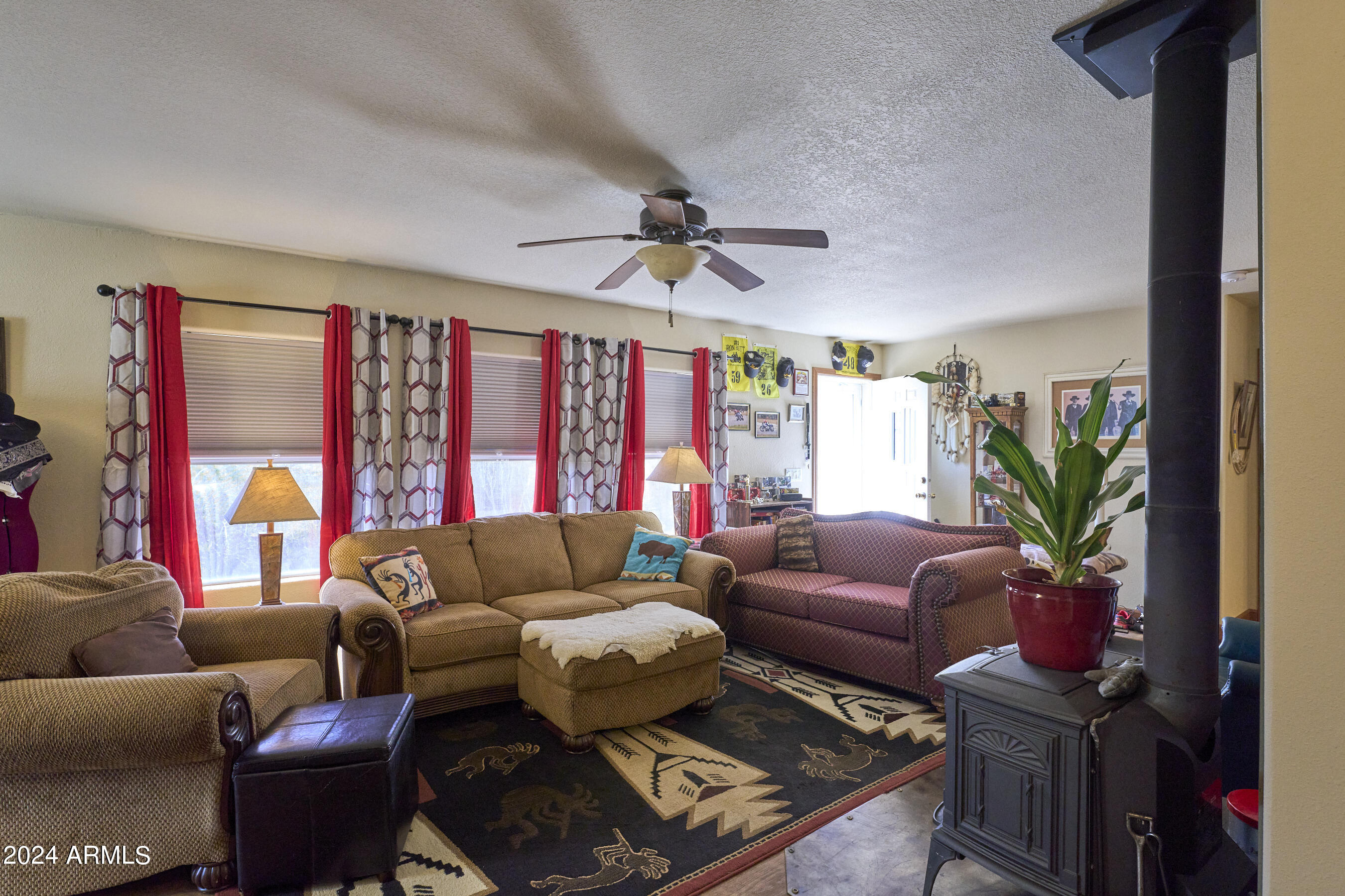 1572 North Orante Road Tombstone, AZ 85638 - Photo 20 of 60 DSC06919