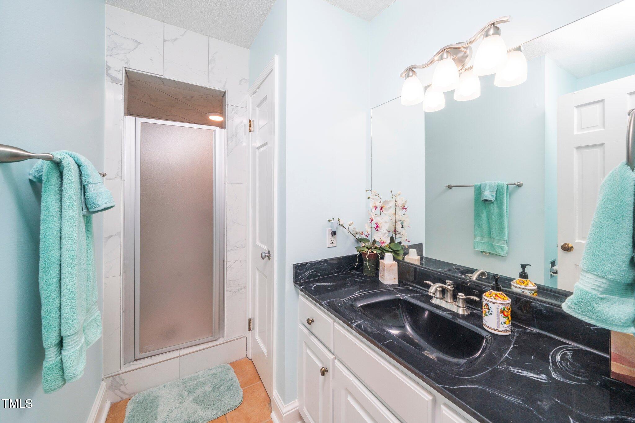 1312 Hampton Valley Road, Unit 10 Cary, NC 27511 - Photo 22 of 35 Lower level bath