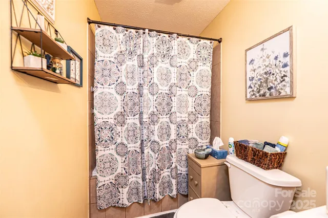 a white toilet sitting next to a shower curtain