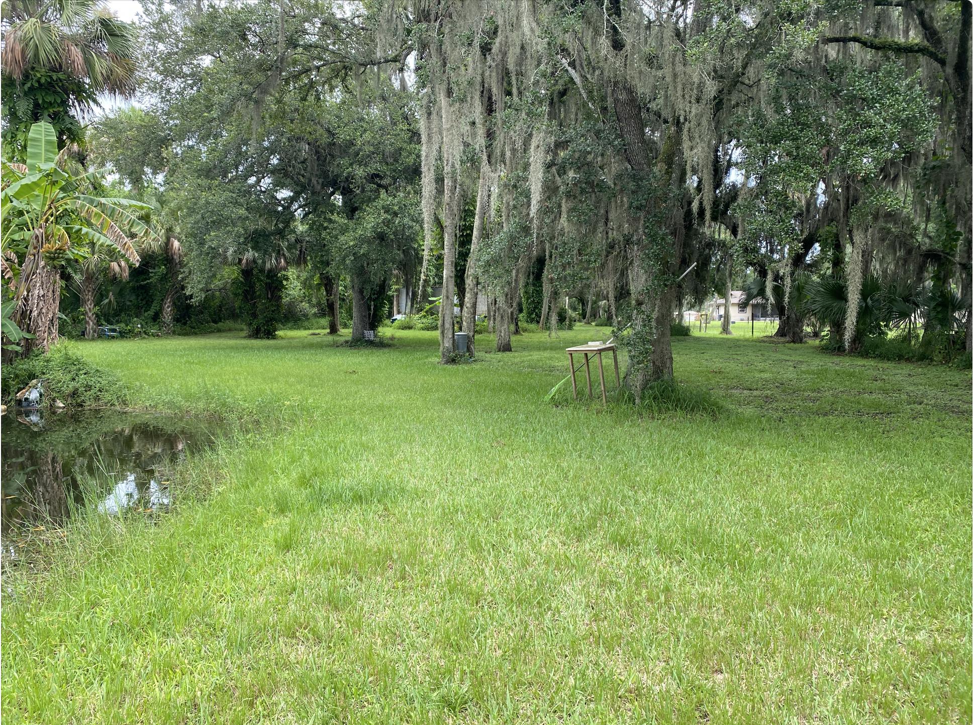 Property View (Back)