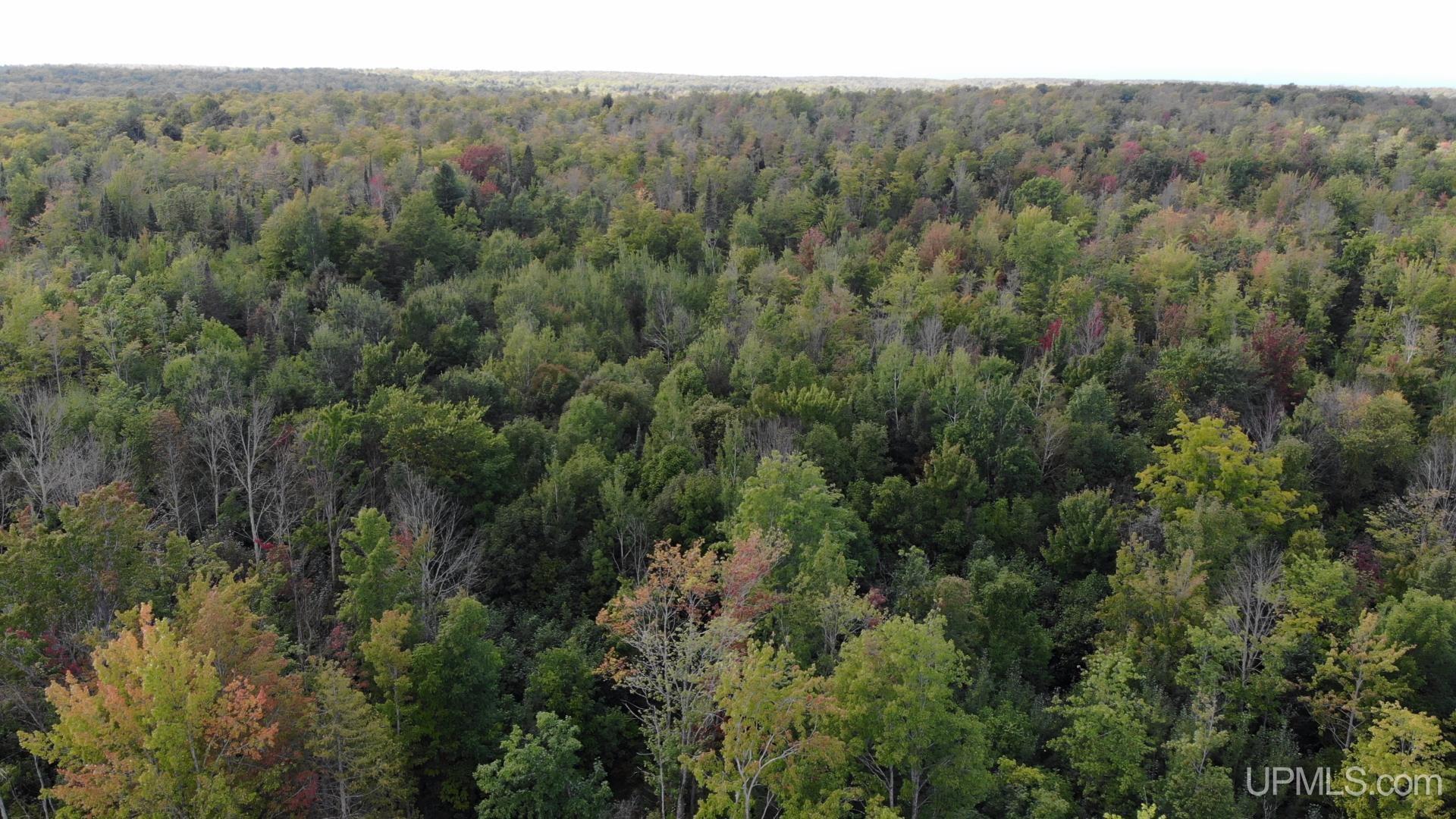 42587 Old Rink Road Toivola, MI 49965 - Photo 2 of 16 Gallery Image 2