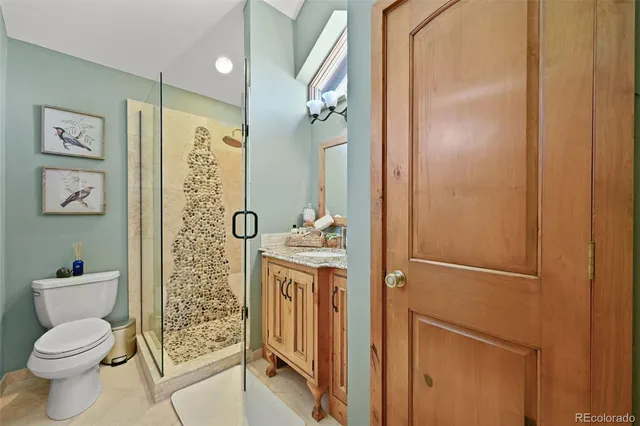 a bathroom with a granite countertop sink toilet and shower