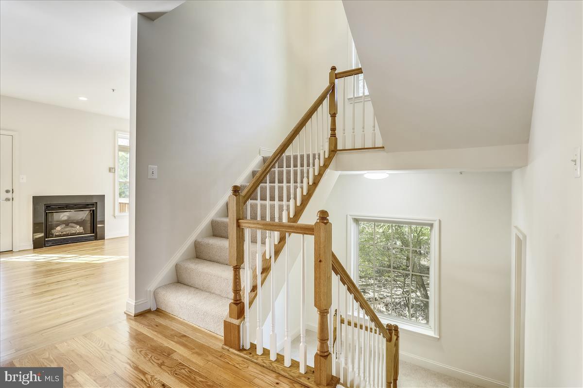 6410 Springview Place Rockville, MD 20852 - Photo 13 of 58