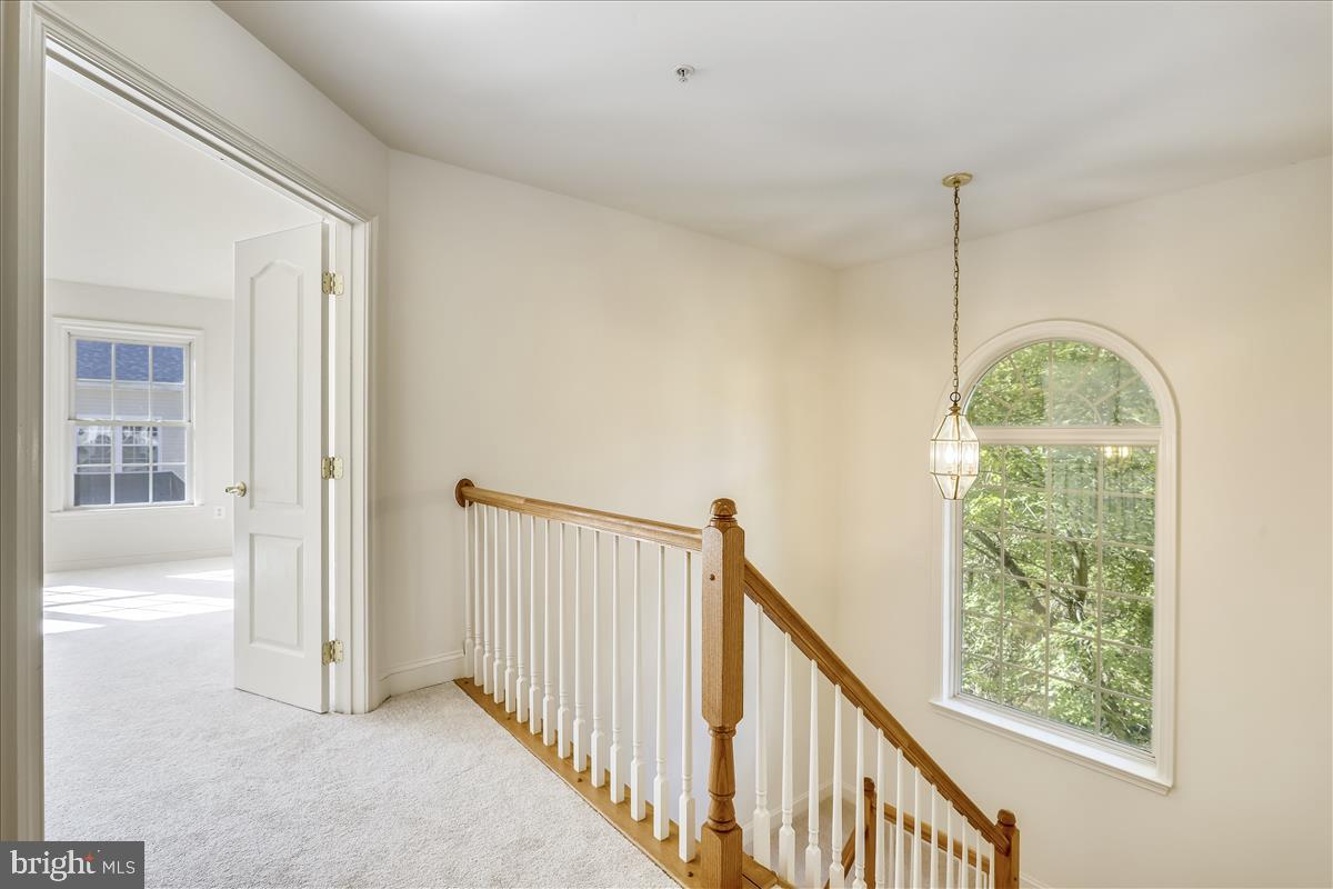 6410 Springview Place Rockville, MD 20852 - Photo 49 of 58