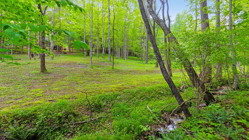118 Ringtail Run Murphy, NC 28906 - Photo 60 of 62