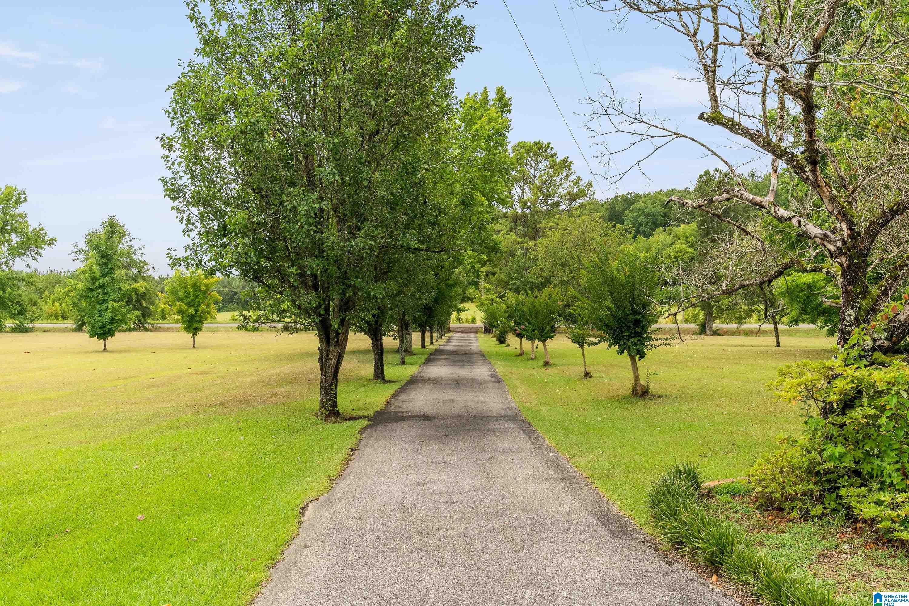 350 Plum Springs Road Lincoln, AL 35096 - Photo 49 of 62