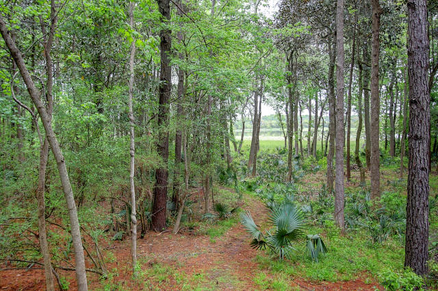 14 Middleton Oaks Road Charleston, SC 29414 - Photo 62 of 70 14 Middleton Oaks (63)0063
