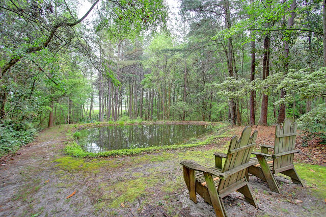 14 Middleton Oaks Road Charleston, SC 29414 - Photo 65 of 70 14 Middleton Oaks (66)0066
