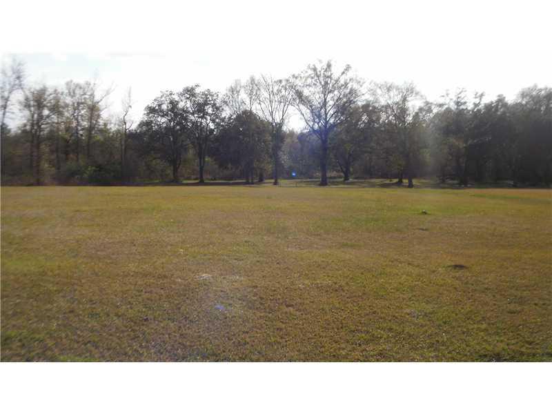 26864 Bennett Road Holden, LA 70744 - Photo 7 of 21 Gallery Image 7