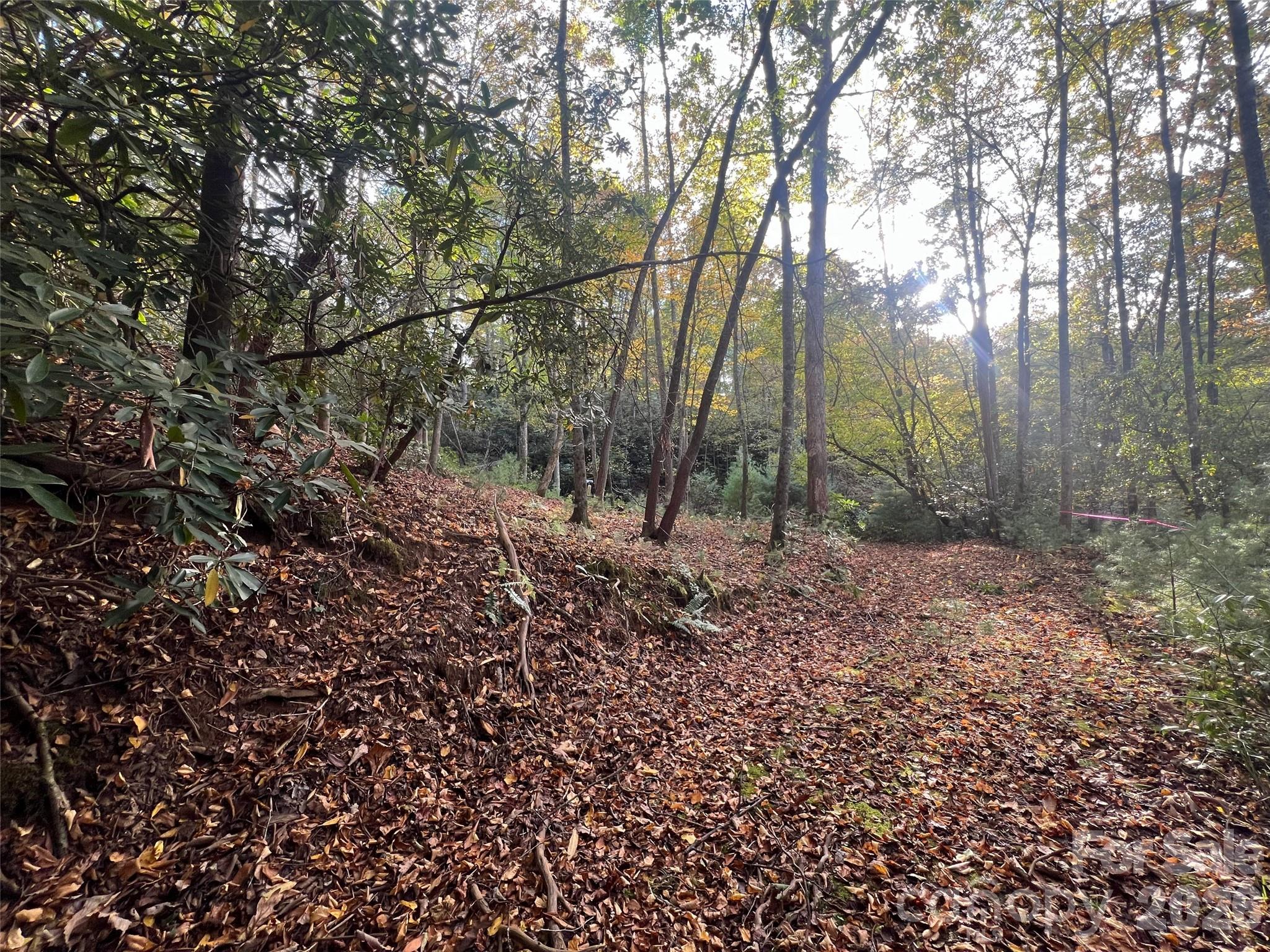 6 Dividing Ridge Trail, Unit 1 Arden, NC 28704 - Photo 14 of 18 a view of a forest with trees