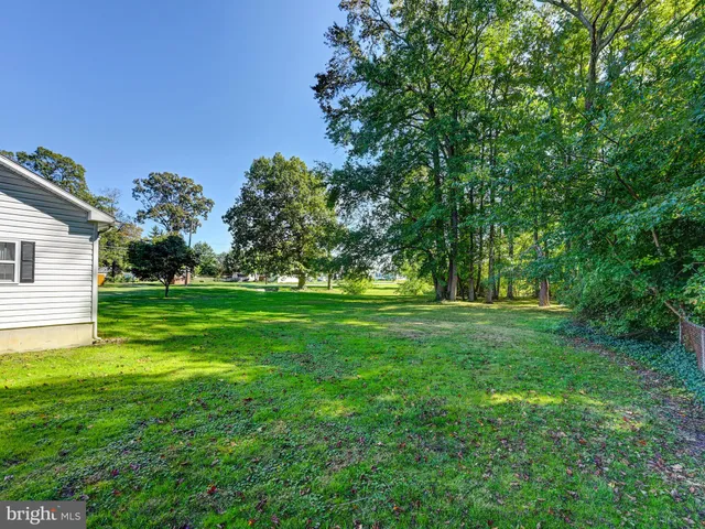 a backyard of a house with plants and large tree