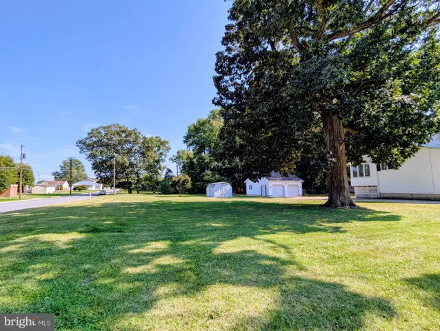 a view of a trees in a yard