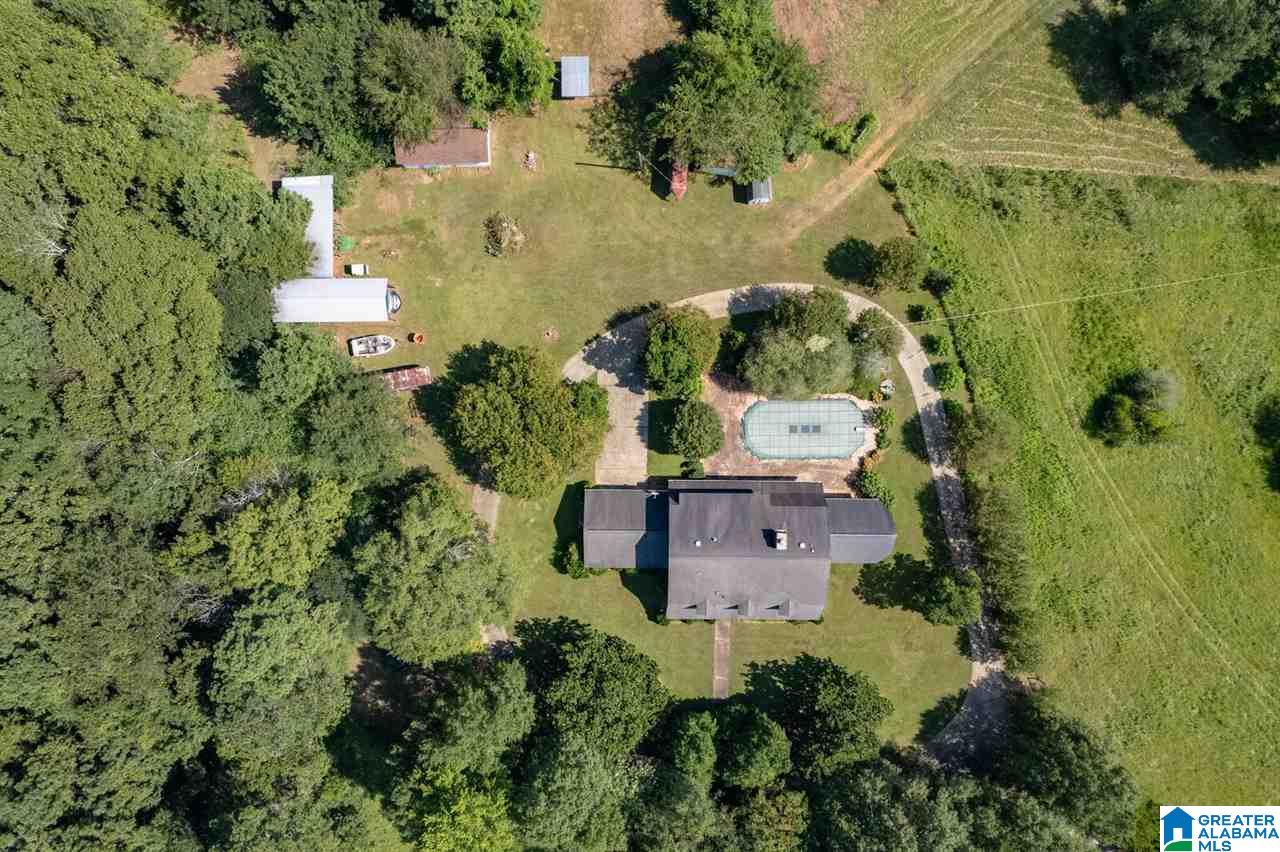 5705 Mays Bend Road Pell City, AL 35128 - Photo 44 of 50