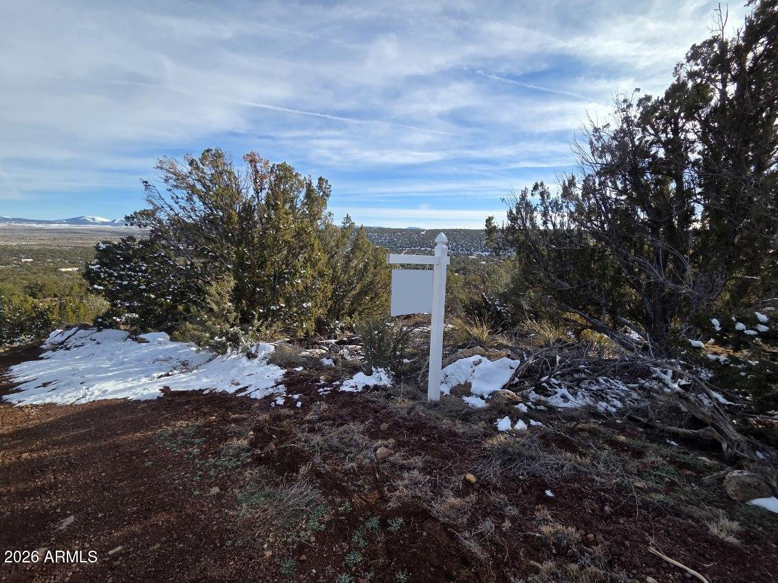 10 Acr 8125 Road, Unit 278 Show Low, AZ 85901 - Photo 3 of 5 10 Co Rd #8125 Vernon