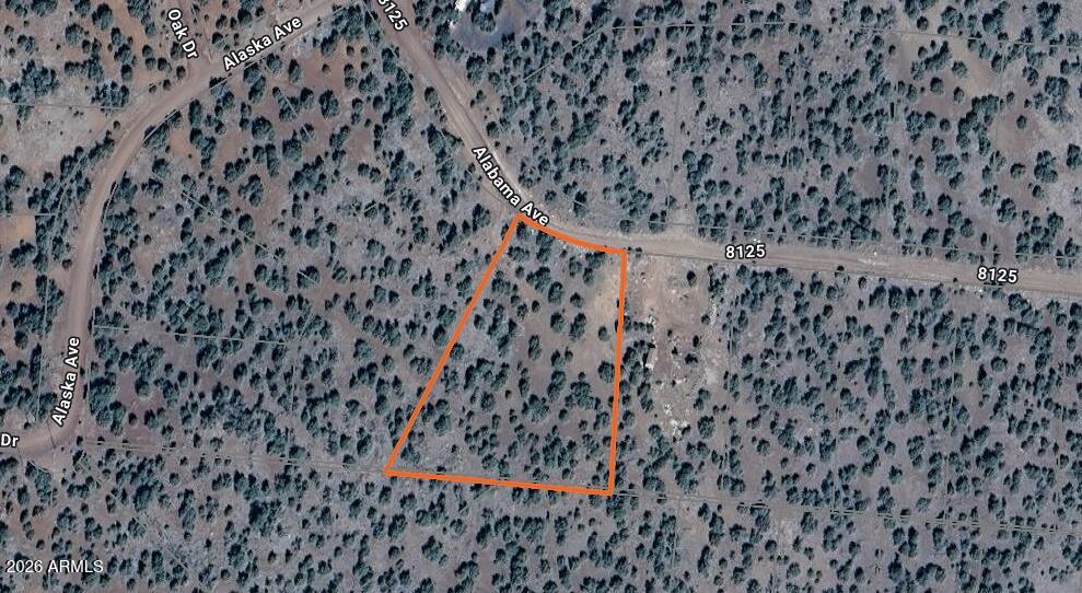 10 Acr 8125 Road, Unit 278 Show Low, AZ 85901 - Photo 5 of 5 10 Co Rd #8125 Vernon