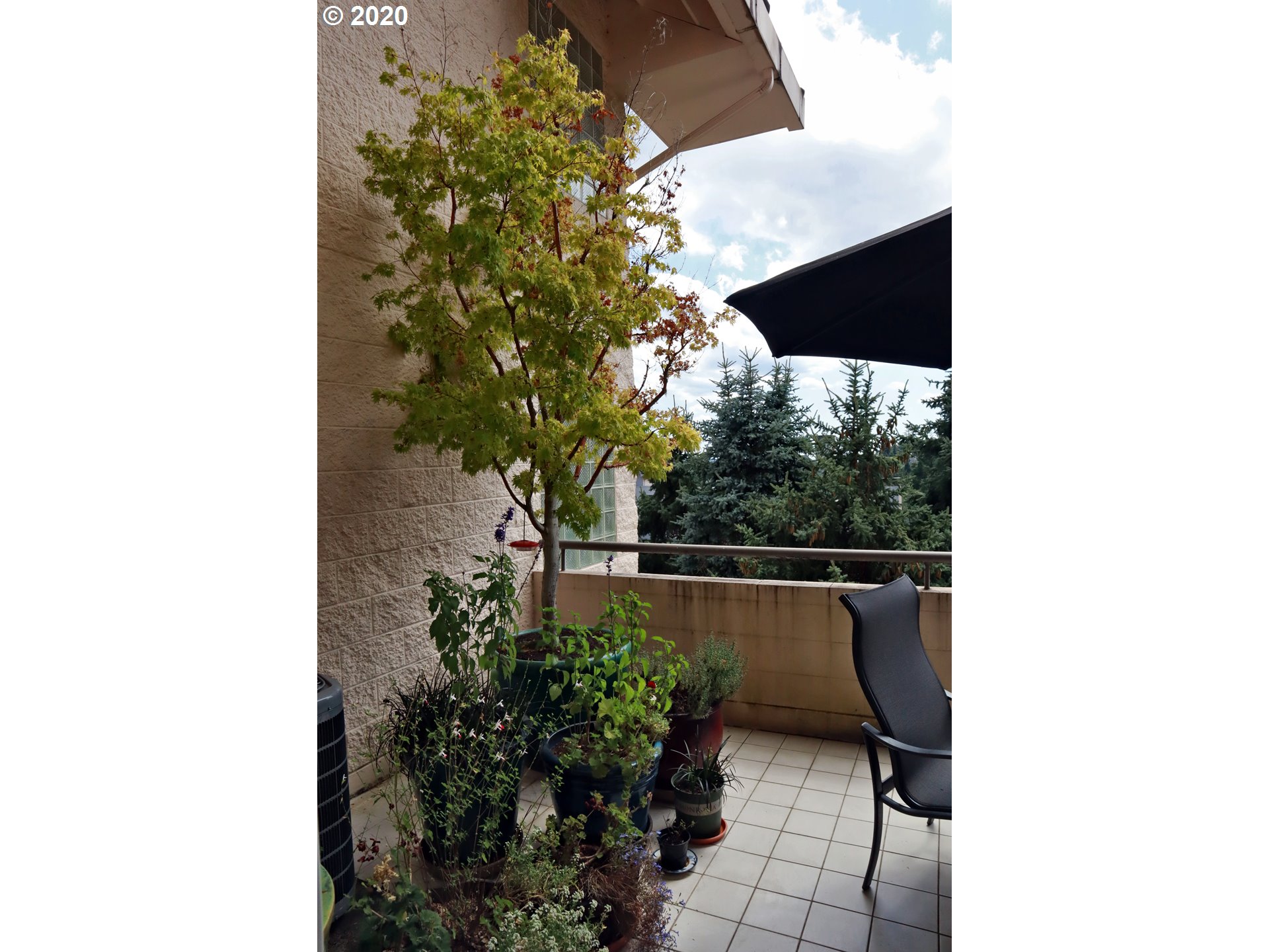 6645 West Burnside Road, Unit 537 Portland, OR 97225 - Photo 5 of 29 Gallery Image 5