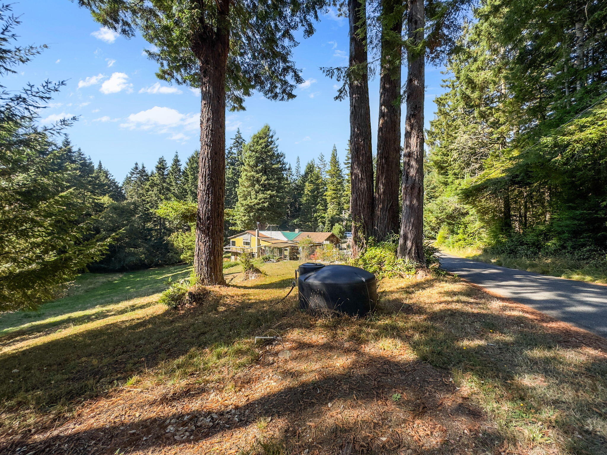 7097 Fickle Hill Road Arcata, CA 95521 - Photo 7 of 43