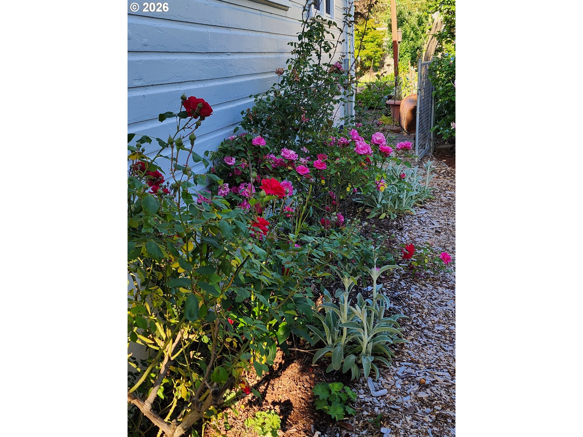 170 Northeast Main Street Estacada, OR 97023 - Photo 37 of 41 a flower plants in front of a door