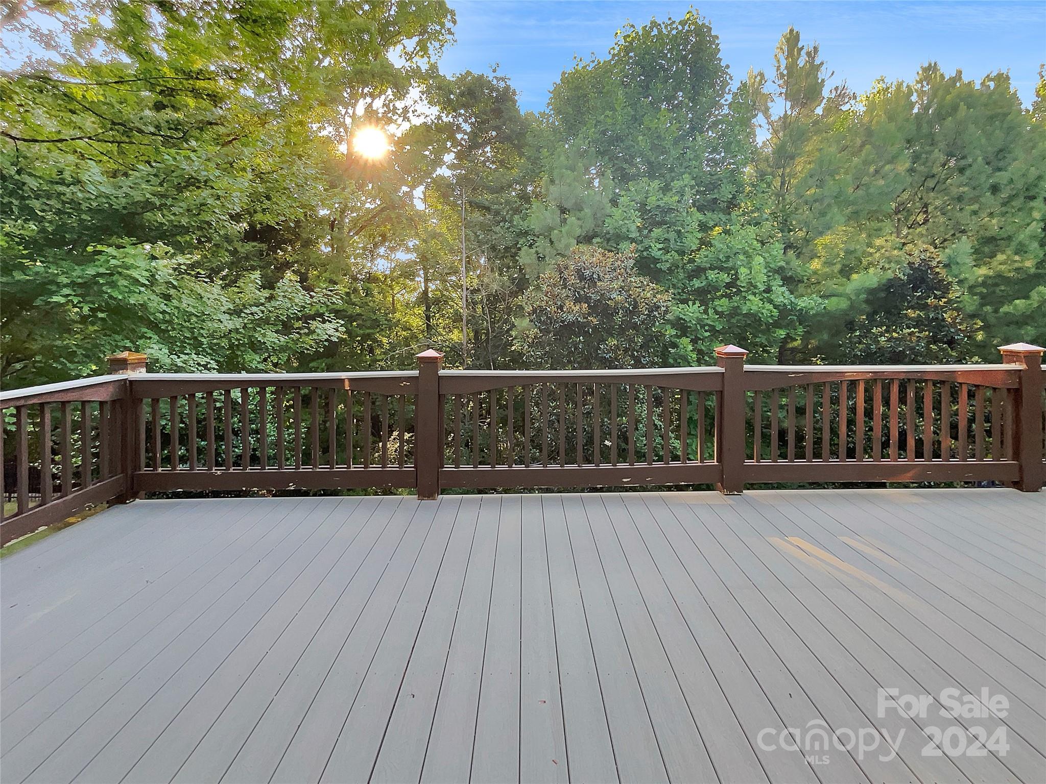 217 Mills Lane Fort Mill, SC 29708 - Photo 12 of 19