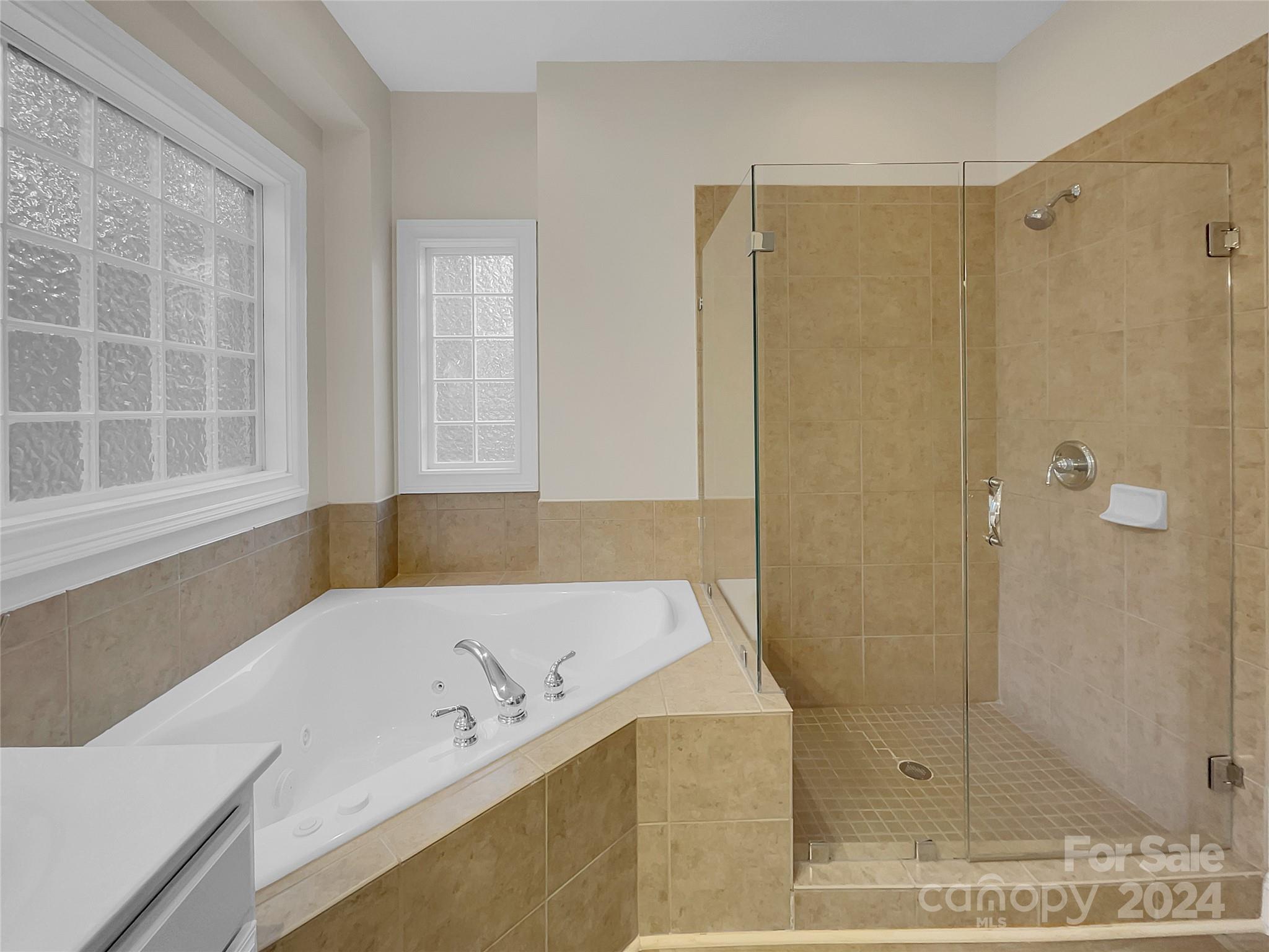 217 Mills Lane Fort Mill, SC 29708 - Photo 14 of 19