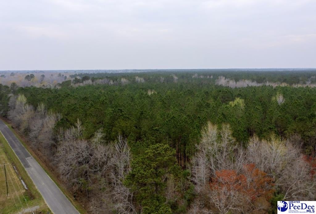0 Spamm Road Salters, SC 29590 - Photo 2 of 6 Gallery Image 2